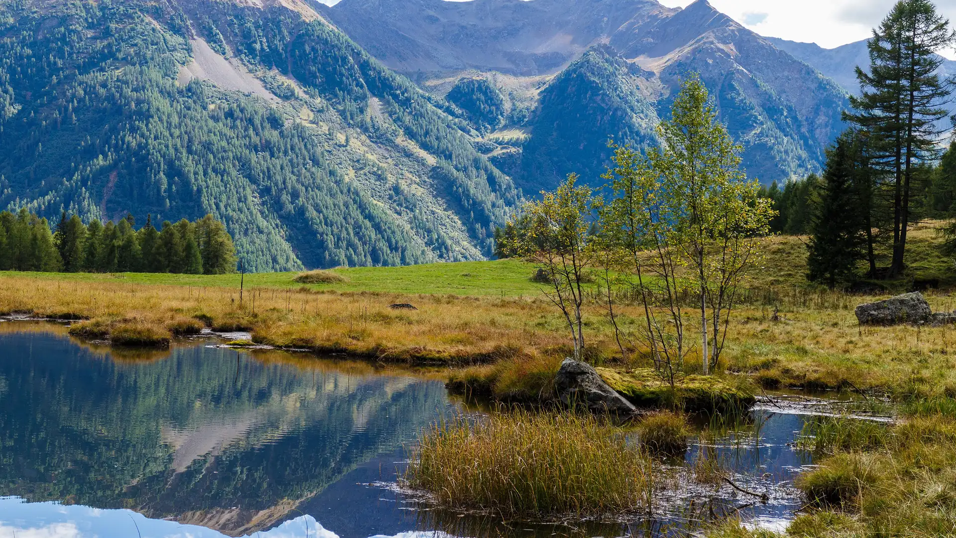 Parco Nazionale dello Stelvio, Val di Pejo